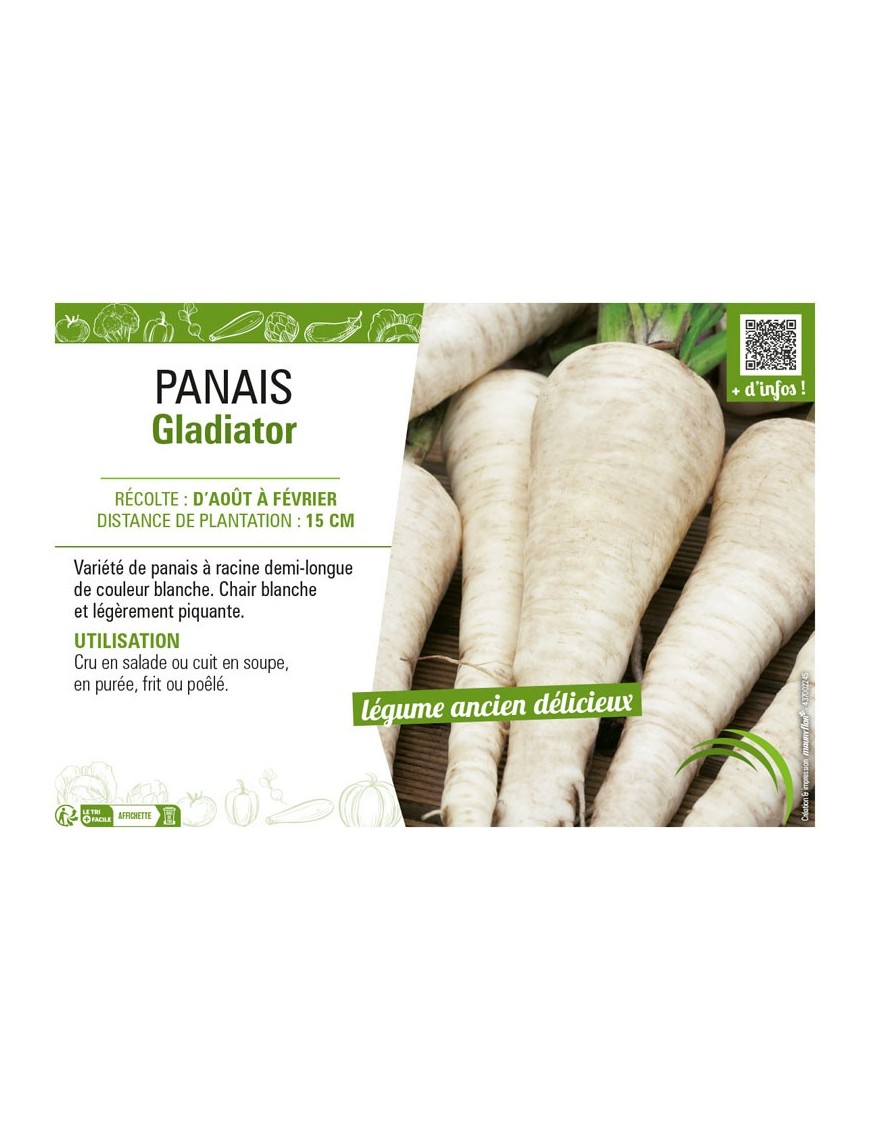 PANAIS GLADIATOR