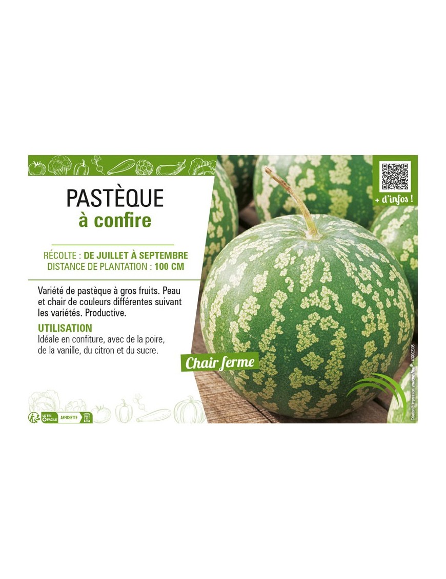 PASTÈQUE À CONFIRE
