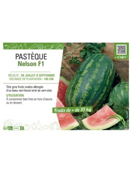 PASTÈQUE NELSON F1