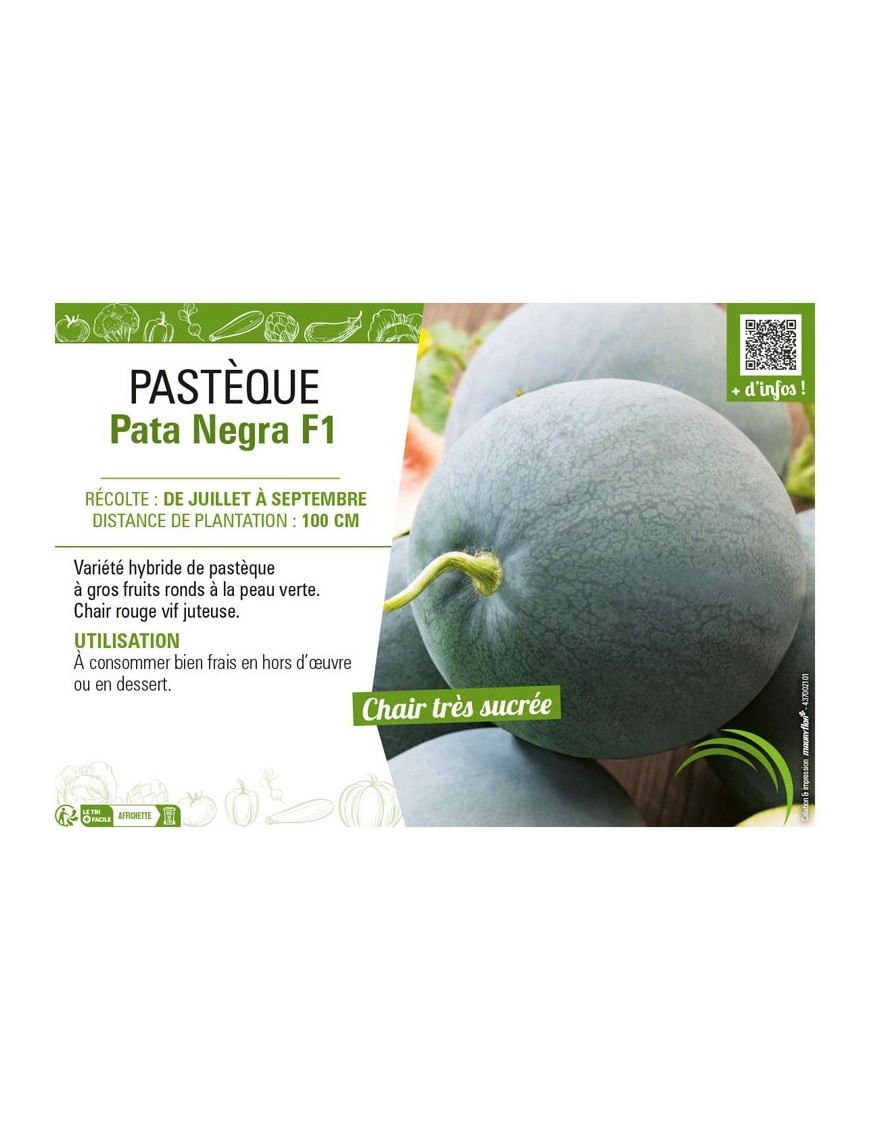 PASTÈQUE PATA NEGRA F1