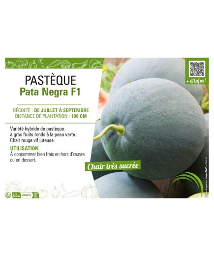 PASTÈQUE PATA NEGRA F1
