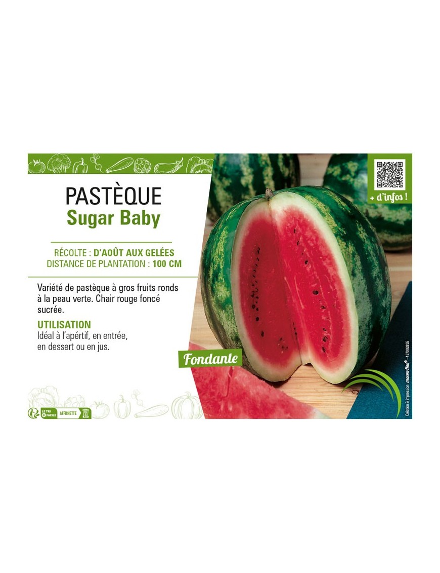 PASTÈQUE SUGAR BABY