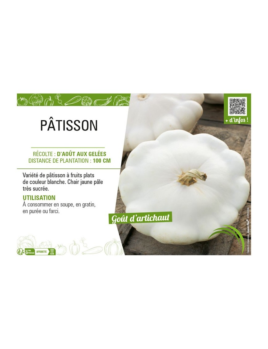PÂTISSON (BLANC)