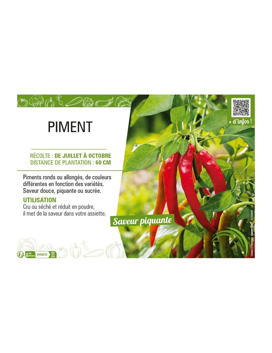 PIMENT