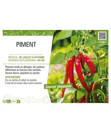 PIMENT