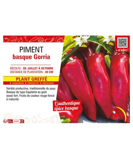 PIMENT BASQUE GORRIA (TYPE ESPELETTE) Plant greffé