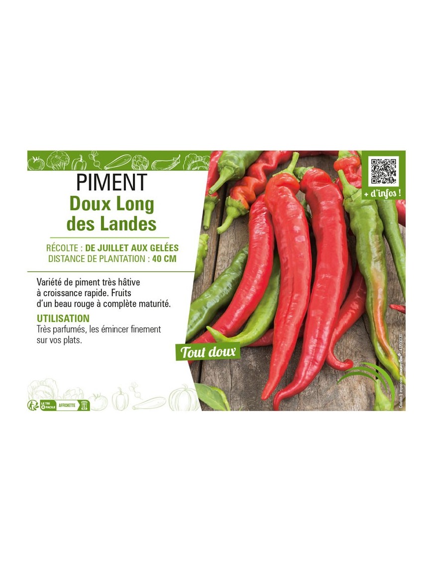 PIMENT DOUX LONG DES LANDES