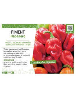 PIMENT HABANERO