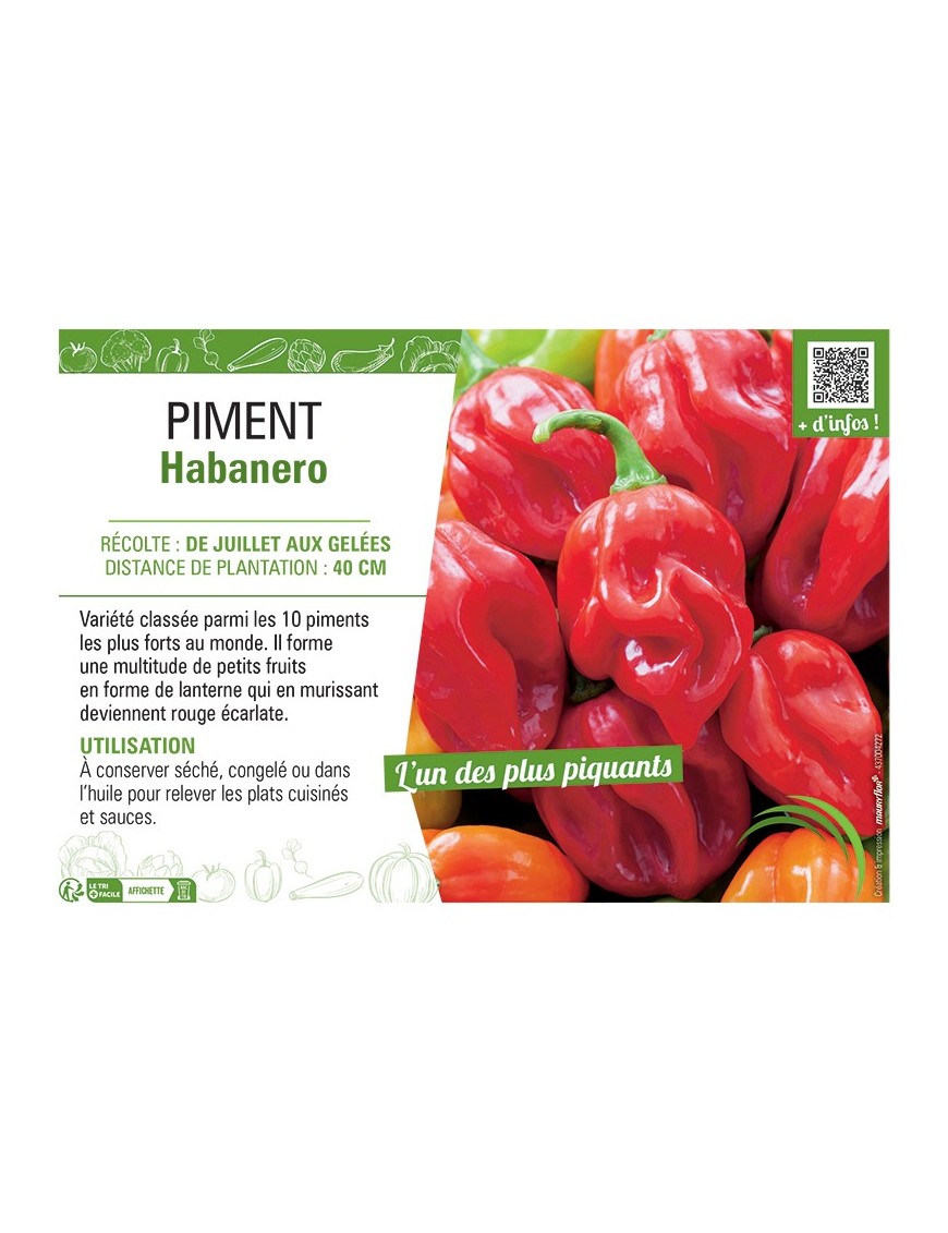 PIMENT HABANERO