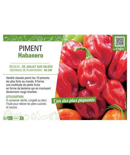 PIMENT HABANERO