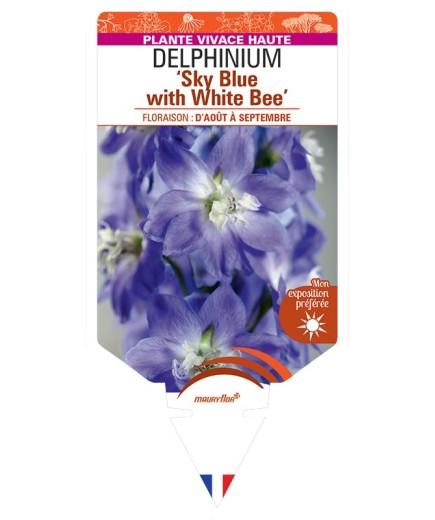 DELPHINIUM (elatum) Sky Blue with White Bee