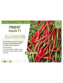 PIMENT IMPALA F1