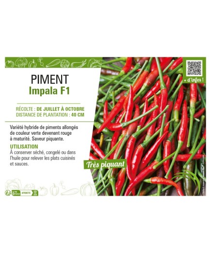 PIMENT IMPALA F1