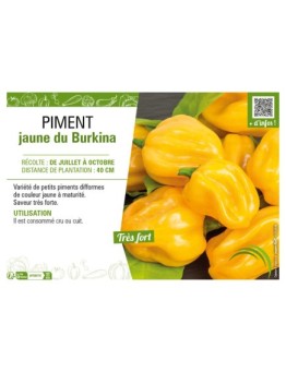PIMENT JAUNE DU BURKINA