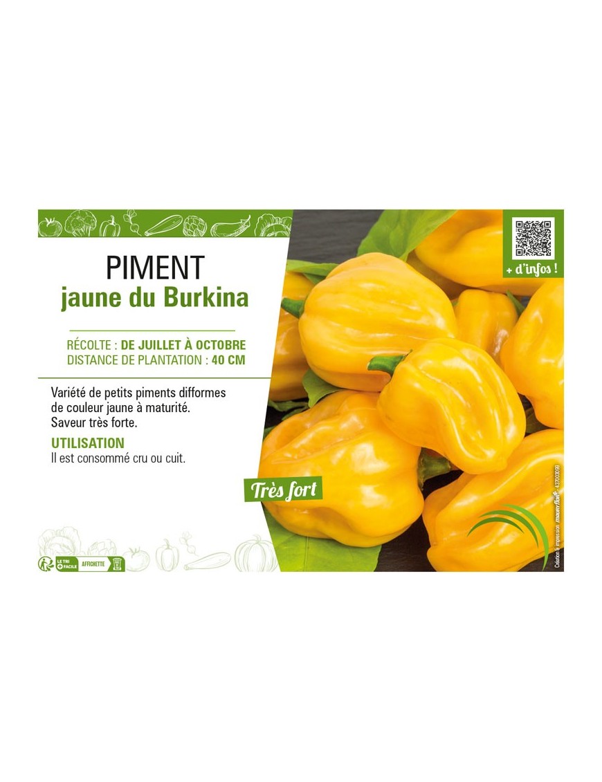 PIMENT JAUNE DU BURKINA