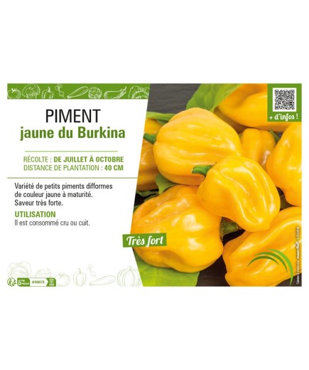 PIMENT JAUNE DU BURKINA