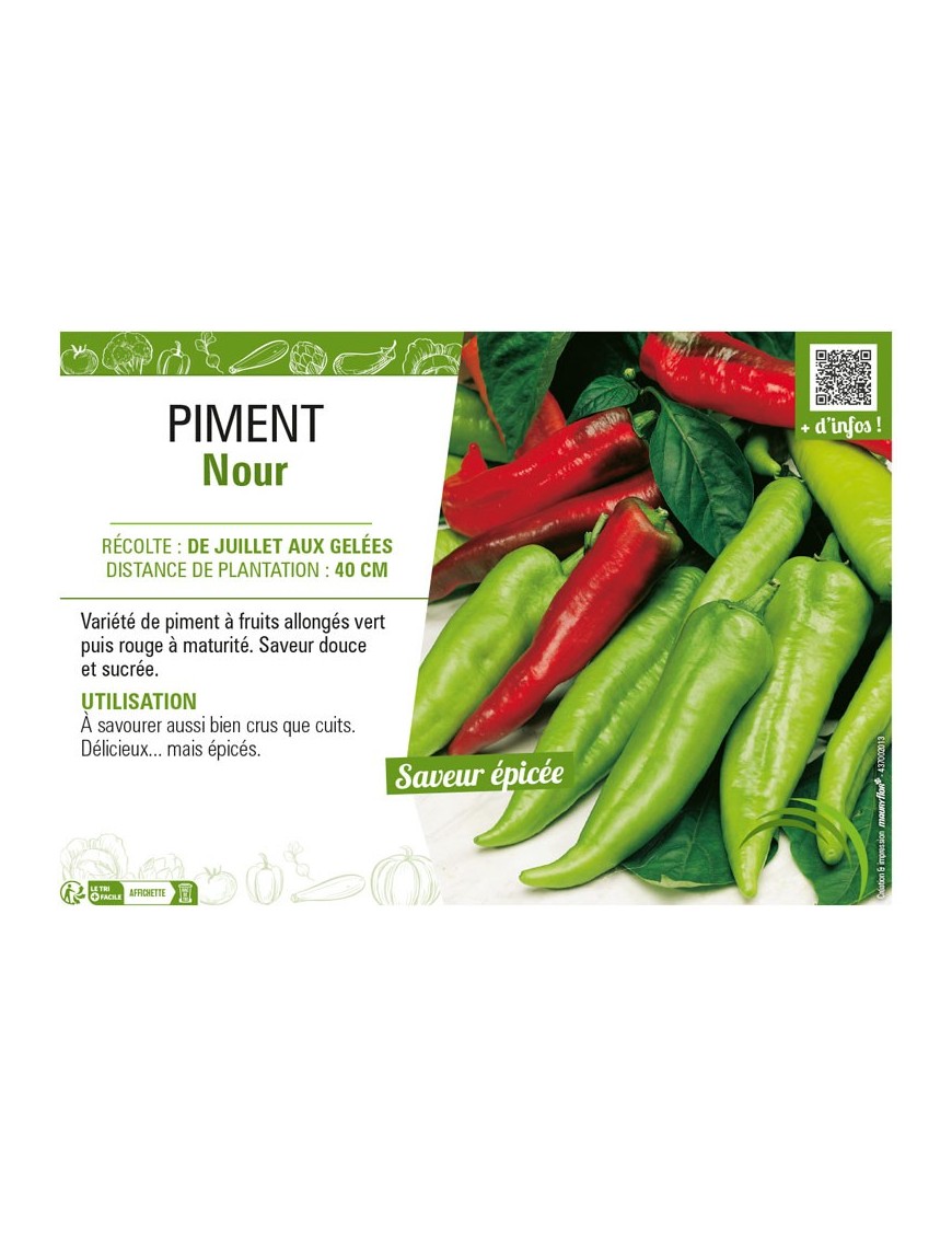 PIMENT NOUR