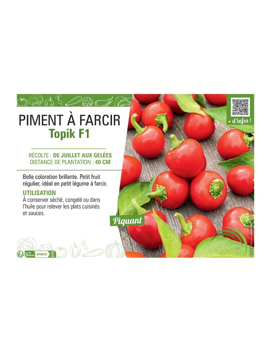 PIMENT TOPIK F1 à farcir