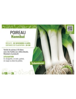POIREAU HANNIBAL
