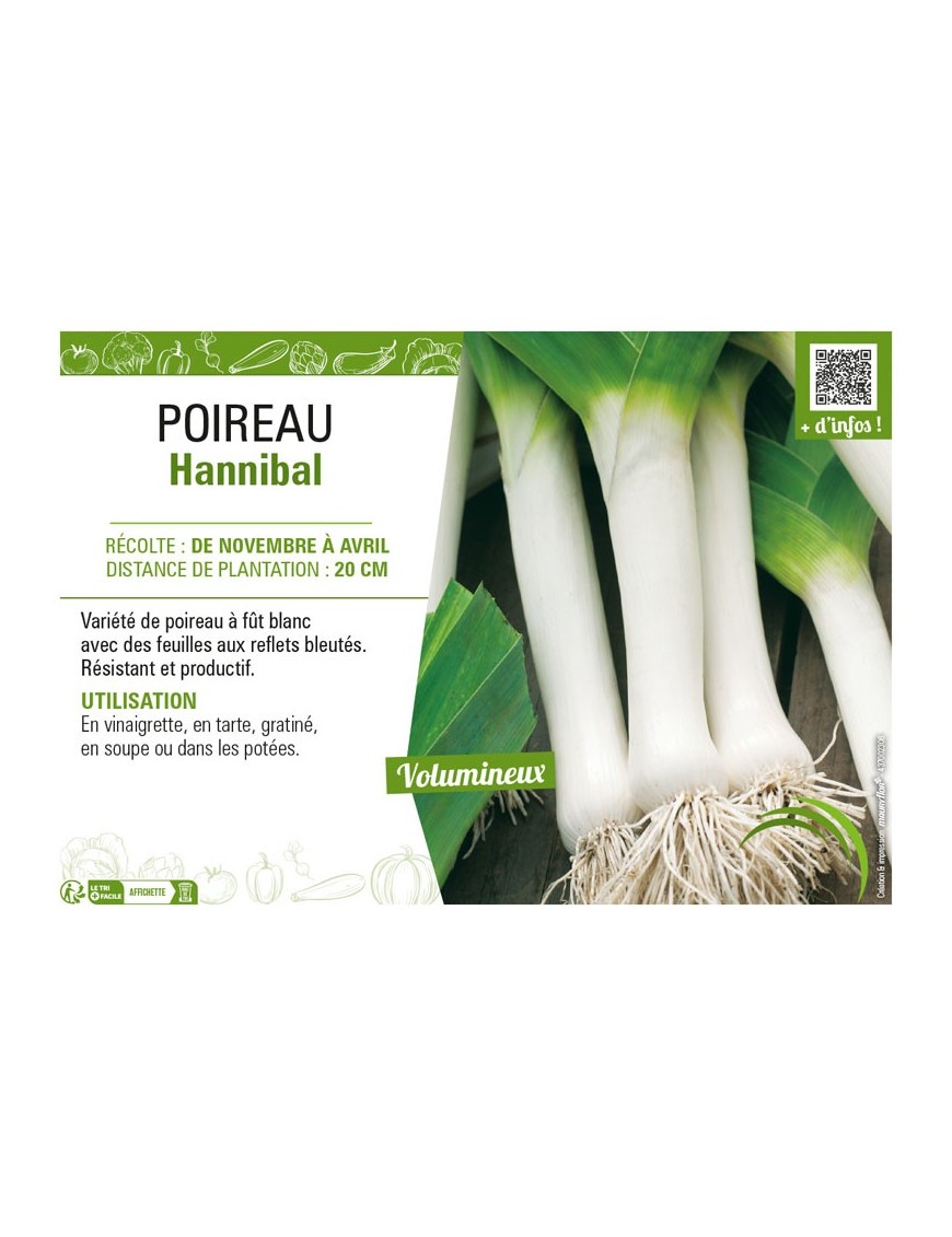 POIREAU HANNIBAL