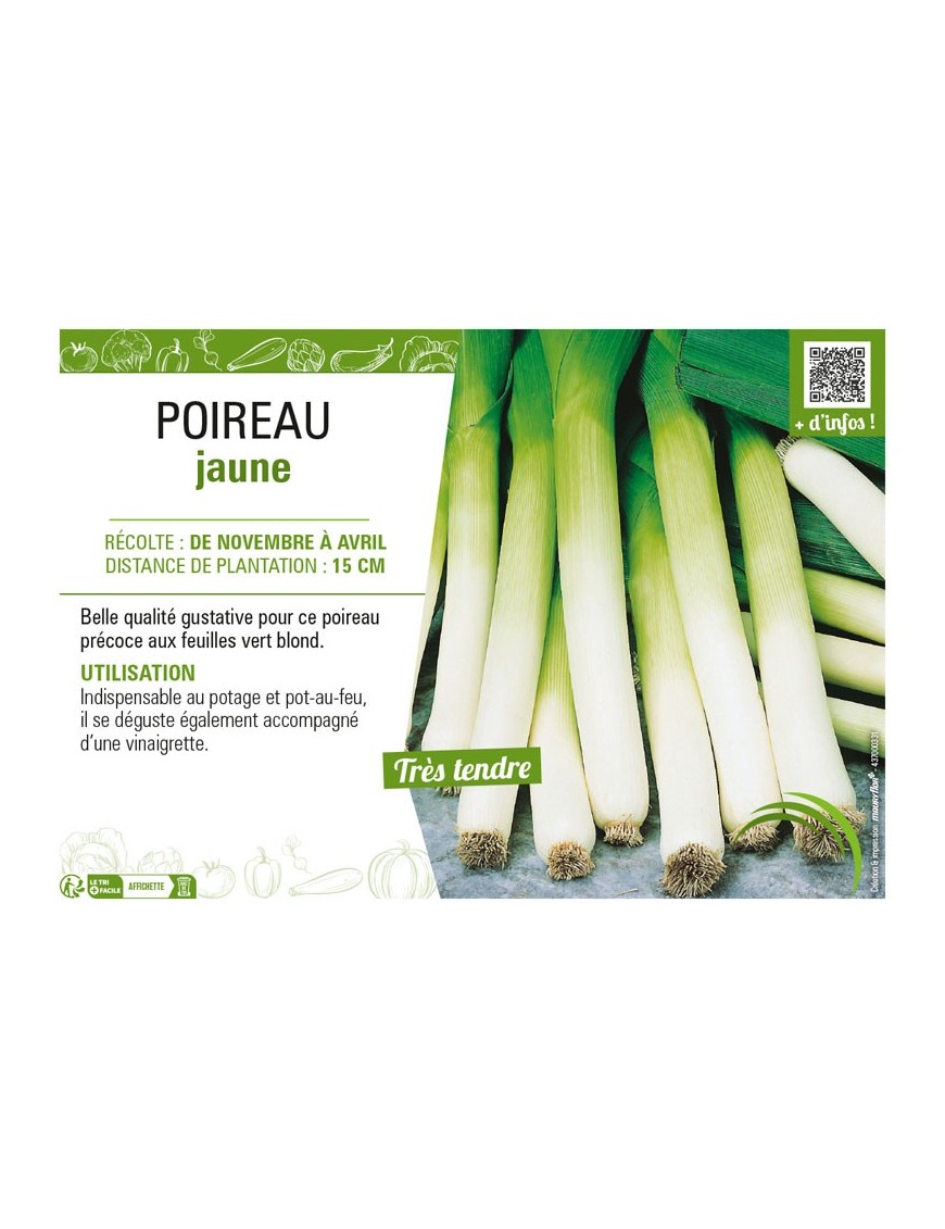 POIREAU JAUNE
