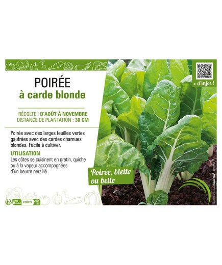 POIRÉE À CARDE BLONDE