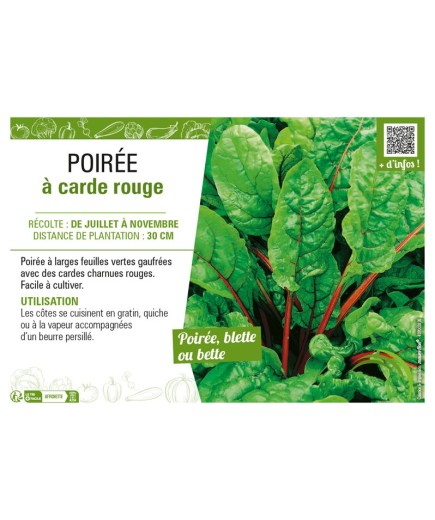 POIRÉE À CARDE ROUGE