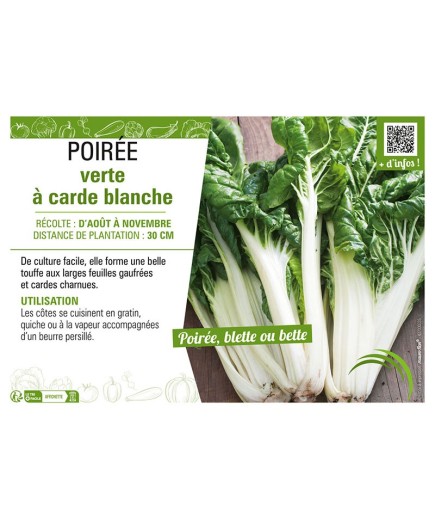 POIRÉE VERTE À CARDE BLANCHE