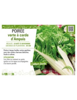 POIRÉE VERTE À CARDE D'AMPUIS