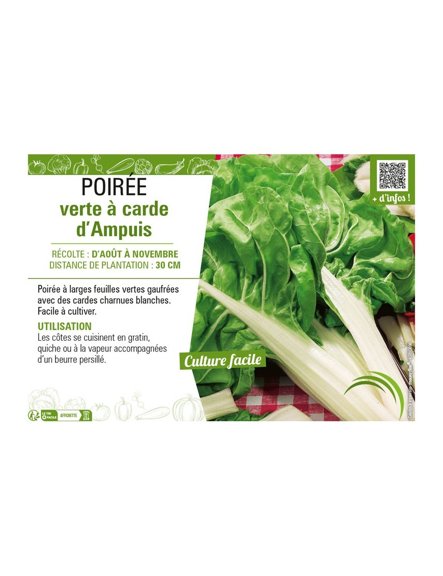 POIRÉE VERTE À CARDE D'AMPUIS