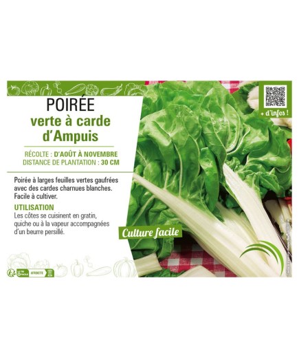 POIRÉE VERTE À CARDE D'AMPUIS