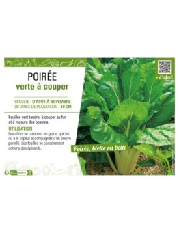 POIRÉE VERTE À COUPER