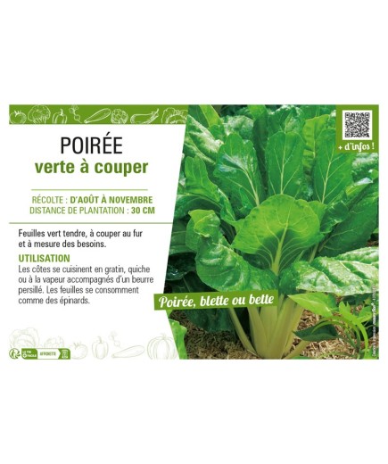 POIRÉE VERTE À COUPER