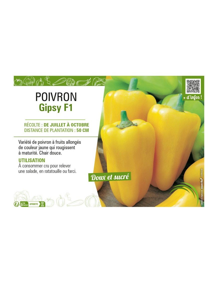 POIVRON (DOUX) GYPSY F1