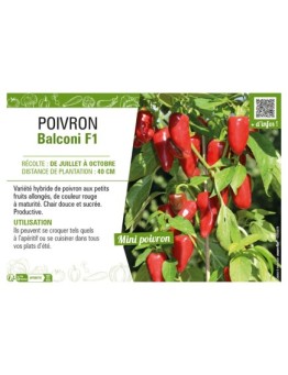 POIVRON BALCONI F1
