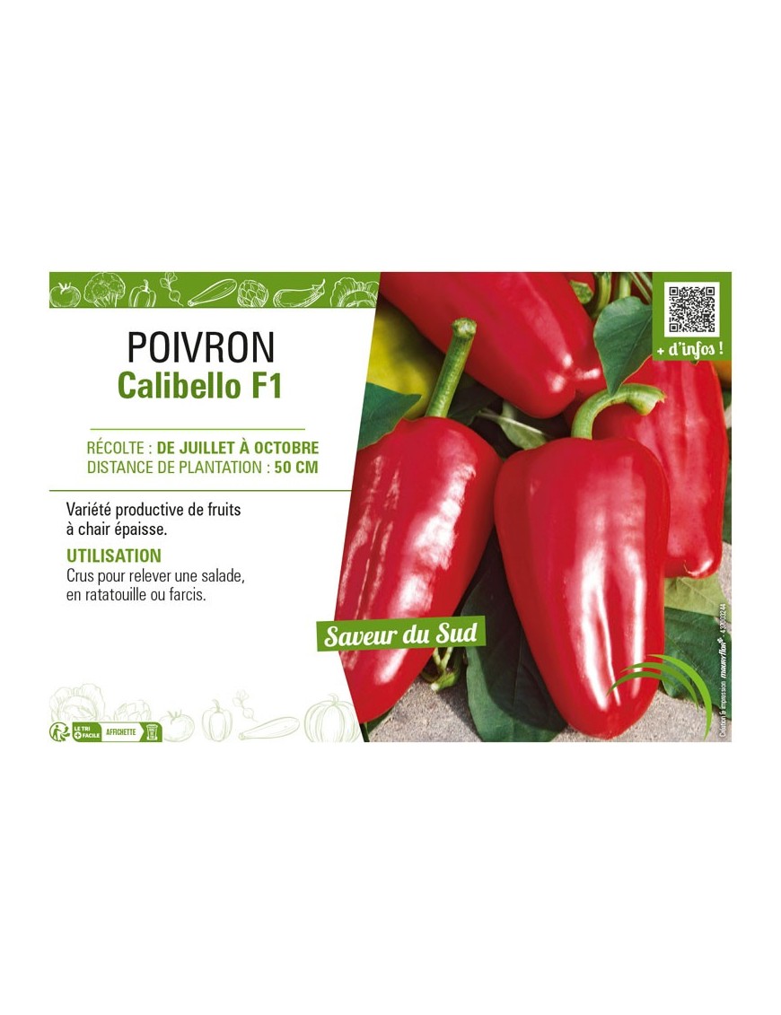 POIVRON CALIBELLO F1