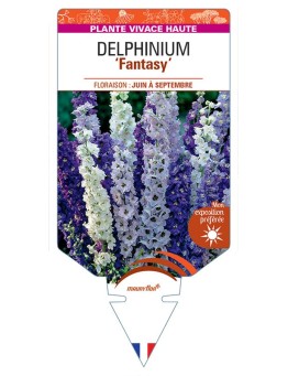 DELPHINIUM Fantasy