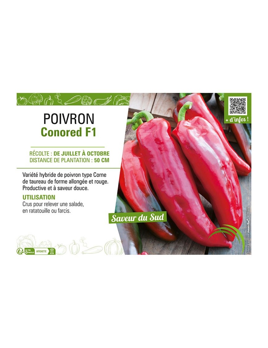 POIVRON CONORED F1