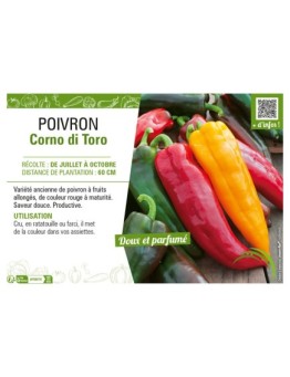 POIVRON CORNO DI TORO (JAUNE ET ROUGE)