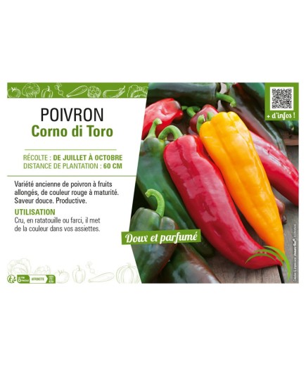 POIVRON CORNO DI TORO (JAUNE ET ROUGE)