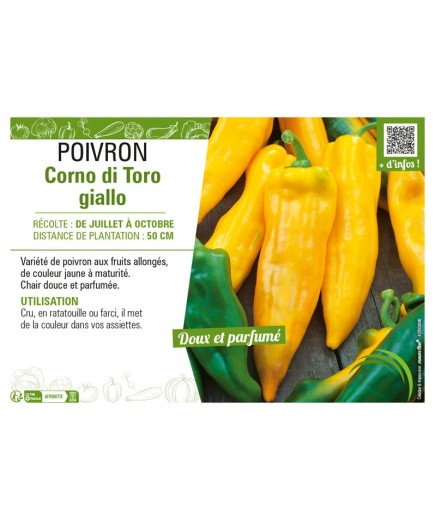 POIVRON CORNO DI TORO GIALLO (JAUNE)