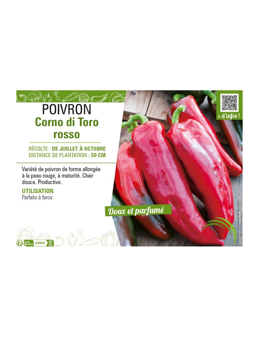 POIVRON CORNO DI TORO ROSSO (ROUGE)
