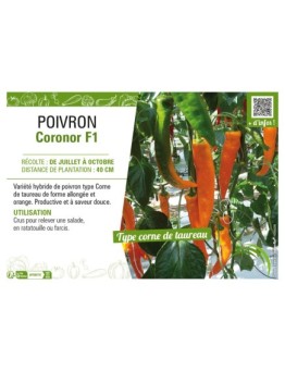 POIVRON CORONOR F1