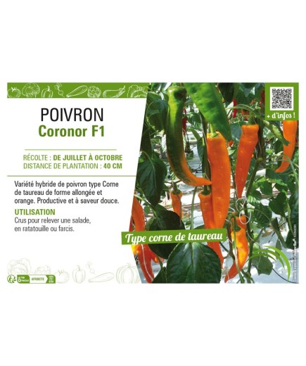 POIVRON CORONOR F1