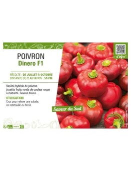 POIVRON DINERO F1