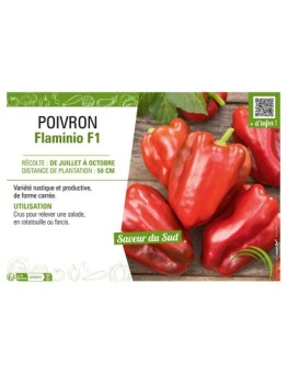 POIVRON FLAMINIO F1