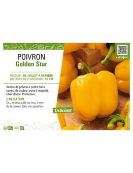 POIVRON GOLDEN STAR (JAUNE)