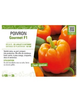 POIVRON Gourmet F1