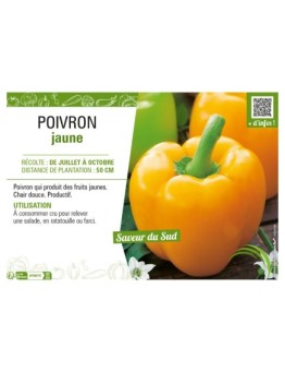 POIVRON JAUNE