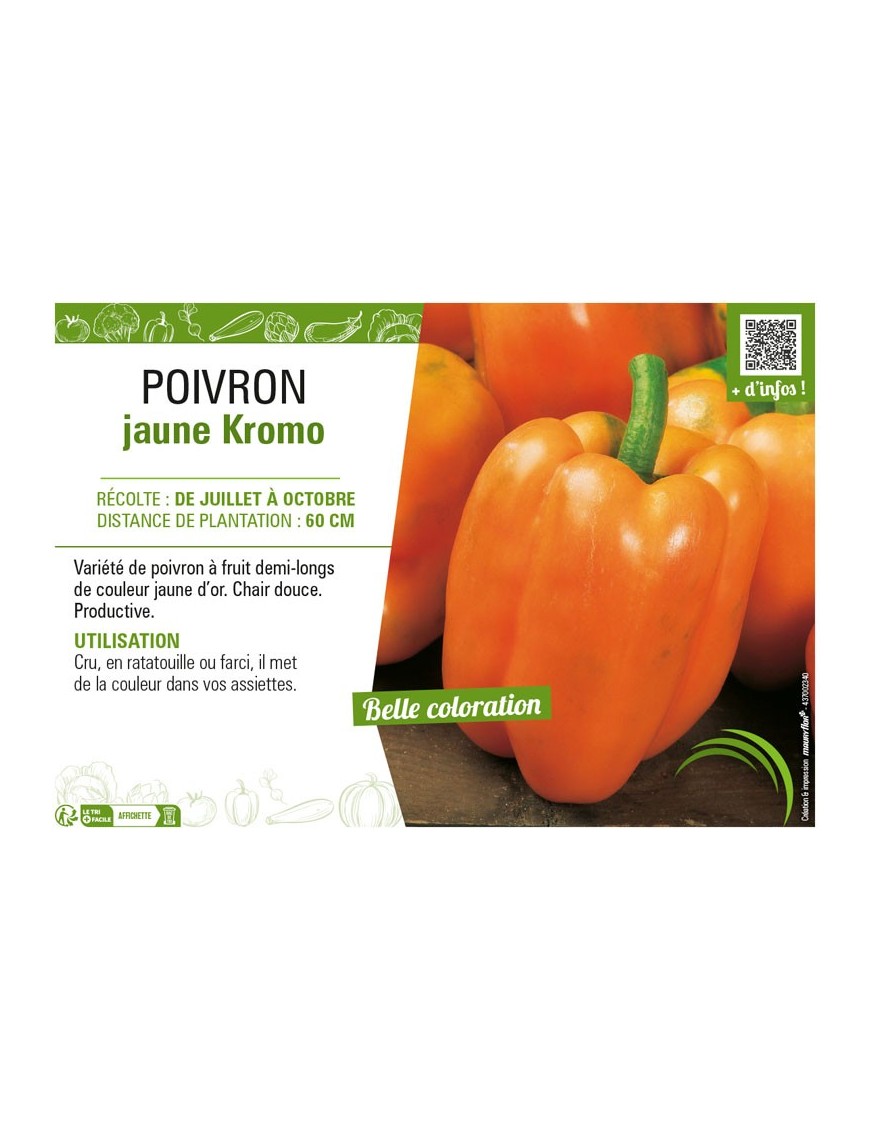 POIVRON JAUNE KROMO